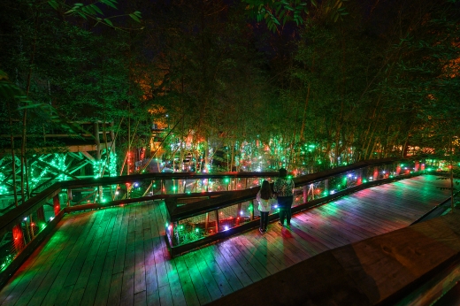 Alexandria Holiday Trail of Lights
