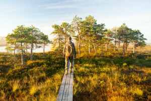 Sechs Naturjuwelen, die entdeckt werden wollen