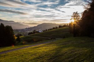 Allgäu: Beim Spaziergang auf dem eigens von Haubers Naturresort angelegten Klimapfad genießen Urlauber den ruhigen Zauber von Wald und Wiesen. © Haubers Naturresort
