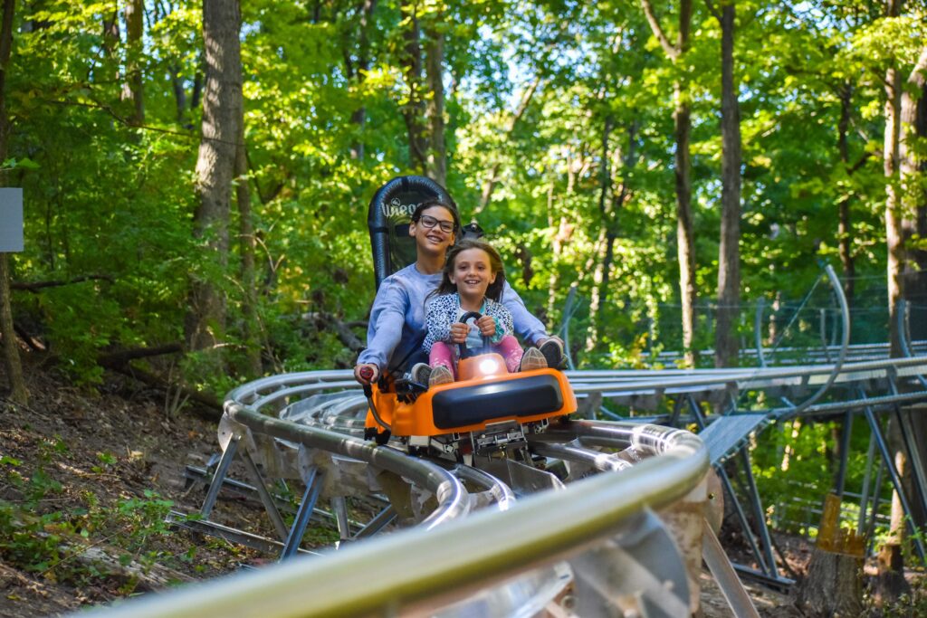 Alpine Coaster