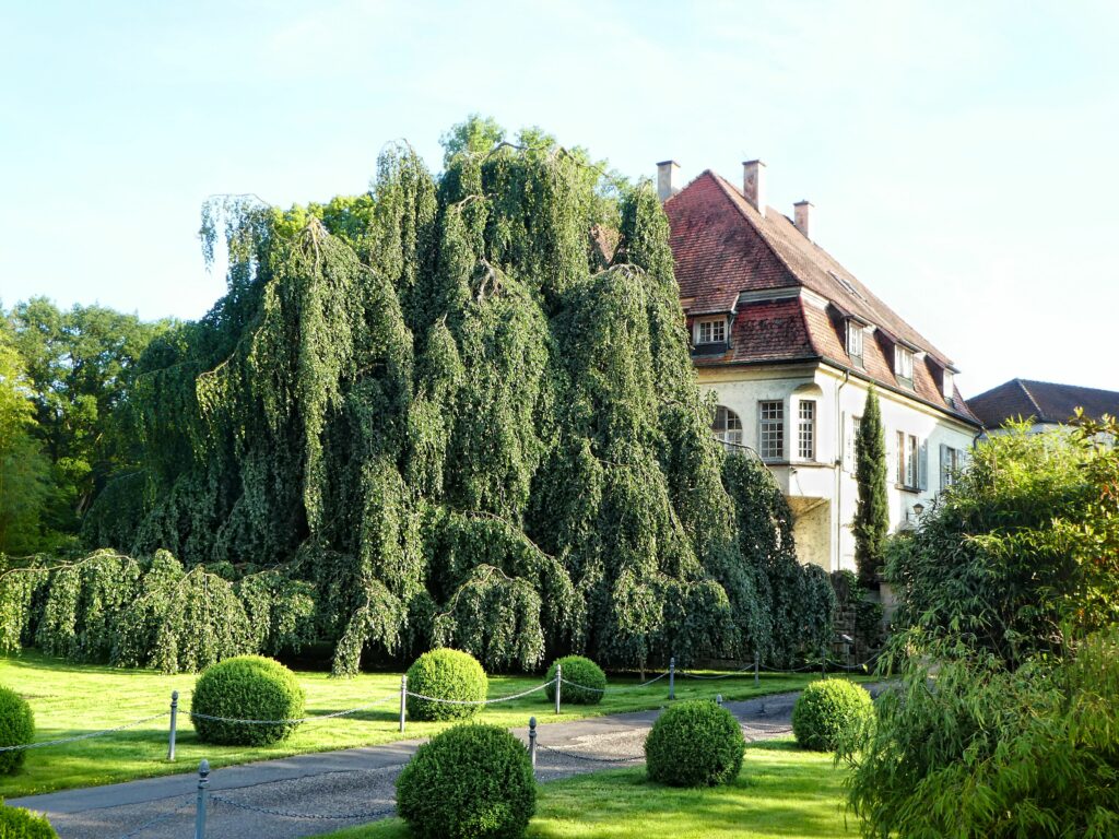 Hotel Außenansicht vom Hofgut Holzmühle.