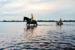Personen reiten auf Pferden im Wasser.
