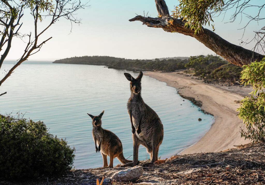 Kangaroo Island