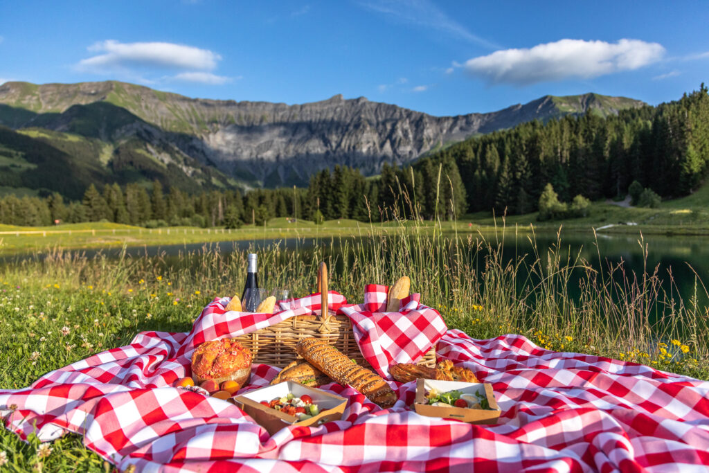 Picknick in der wunderschönen Bergnatur.