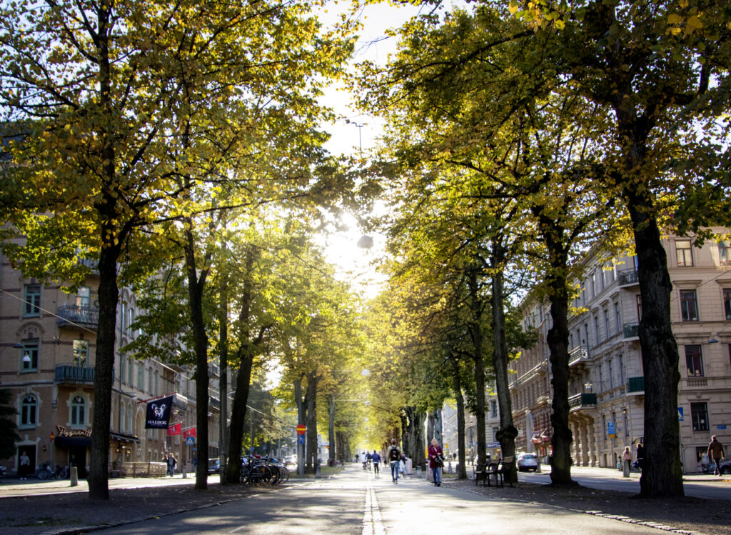 Göteberg im schönen Tageslicht.