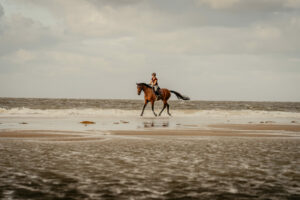 Reiter reitet auf seinem Pferd.