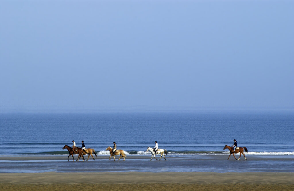 Reiter und Pferde reiten dem Wasser entlang.