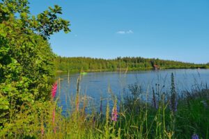 Verbringt euren Urlaub im wunderschönen Fichtelgebirge.